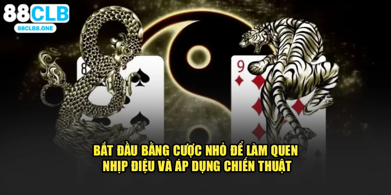 Bắt đầu bằng cược nhỏ để làm quen nhịp điệu và áp dụng chiến thuật