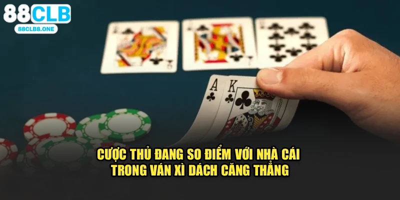 Cược thủ đang so điểm với nhà cái trong ván xì dách căng thẳng