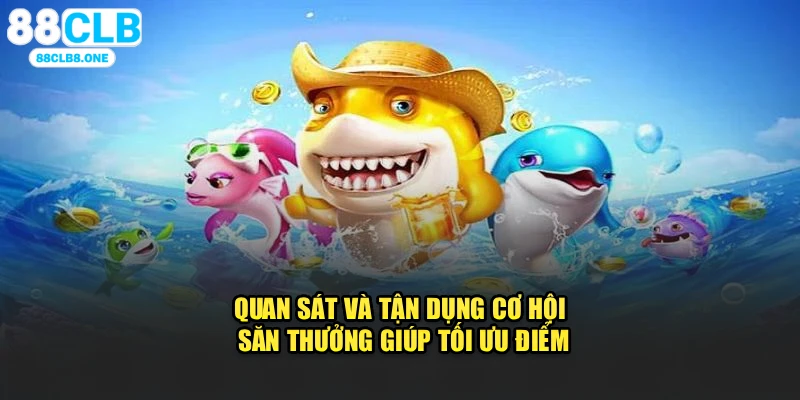 Quan sát và tận dụng cơ hội săn thưởng giúp tối ưu điểm